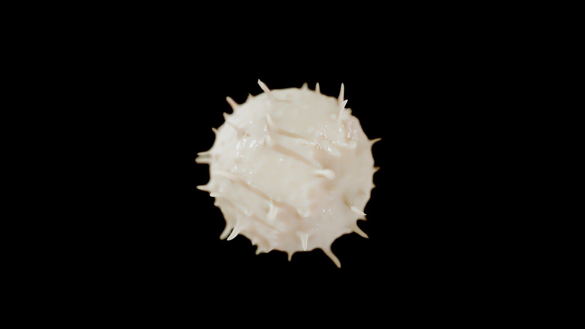 1920x1080 Lymphocyte White Blood Cell