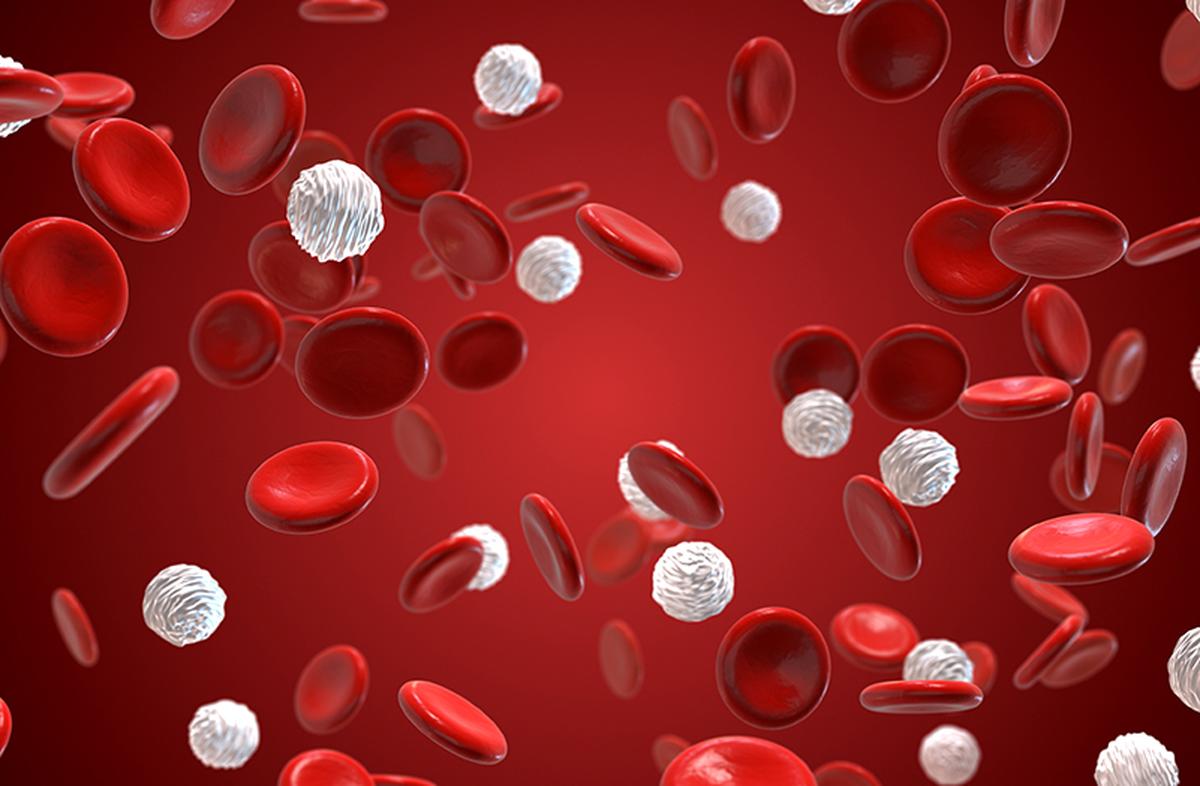 1200x786 How are blood groups differentiated?