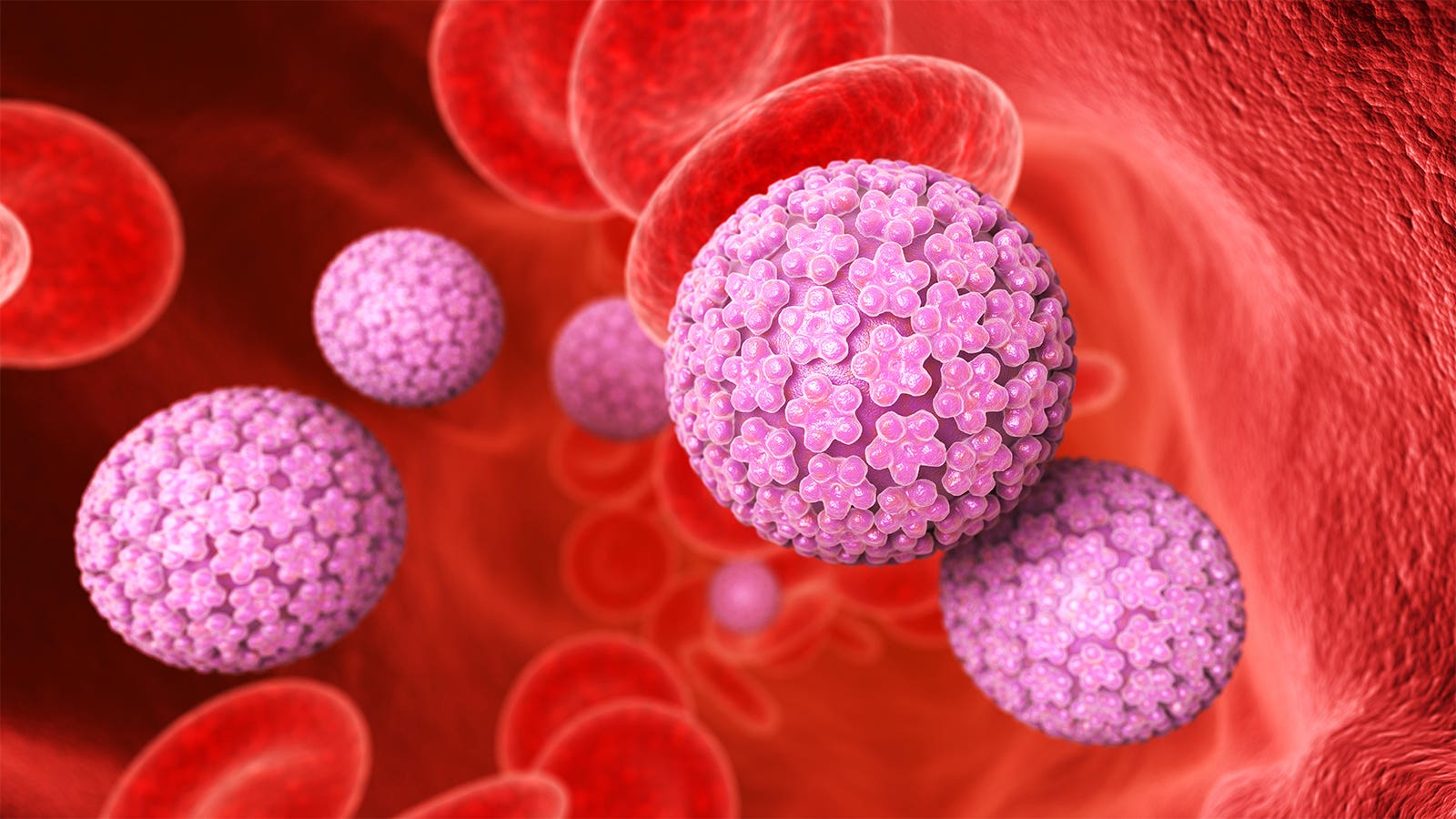 1600x900 Mysterious White Blood Cell Disorder Not Just 'AIDS Without HIV'