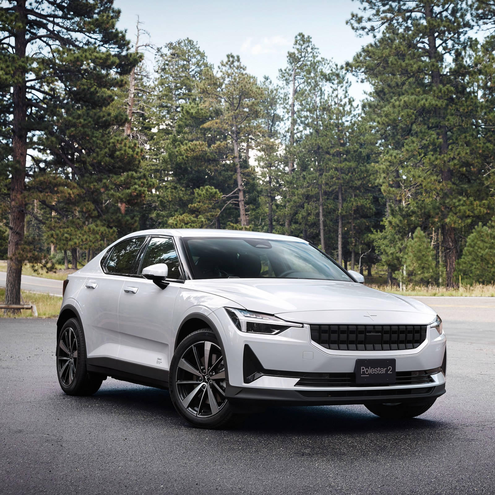 1600x1600 Download Polestar 2 At A Forest Wallpaper