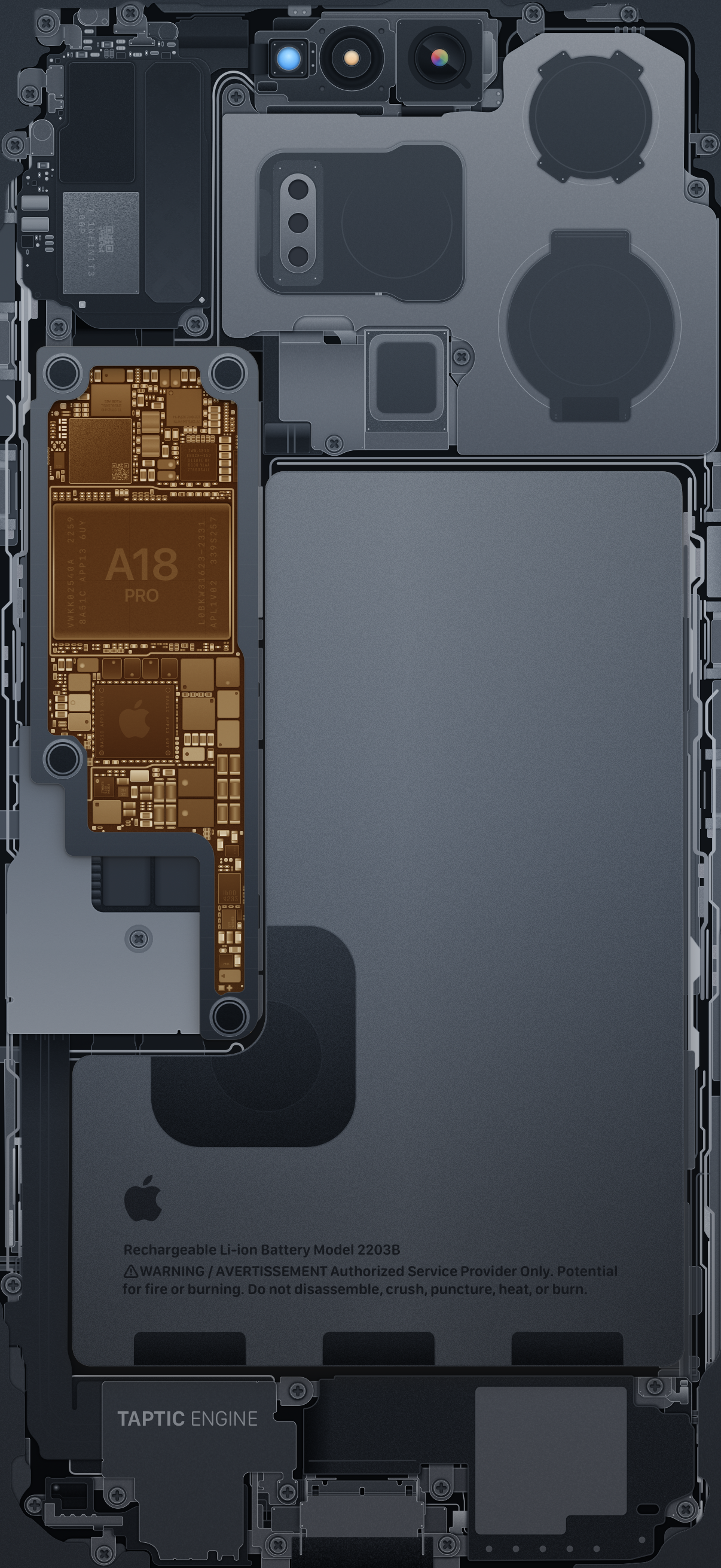 1206x2622 iPhone 16 Pro