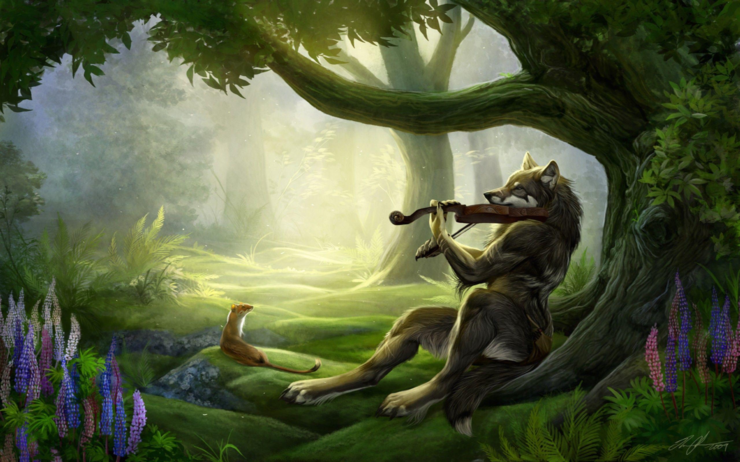 2560x1600 Wolf HD Wallpaper and Background Image