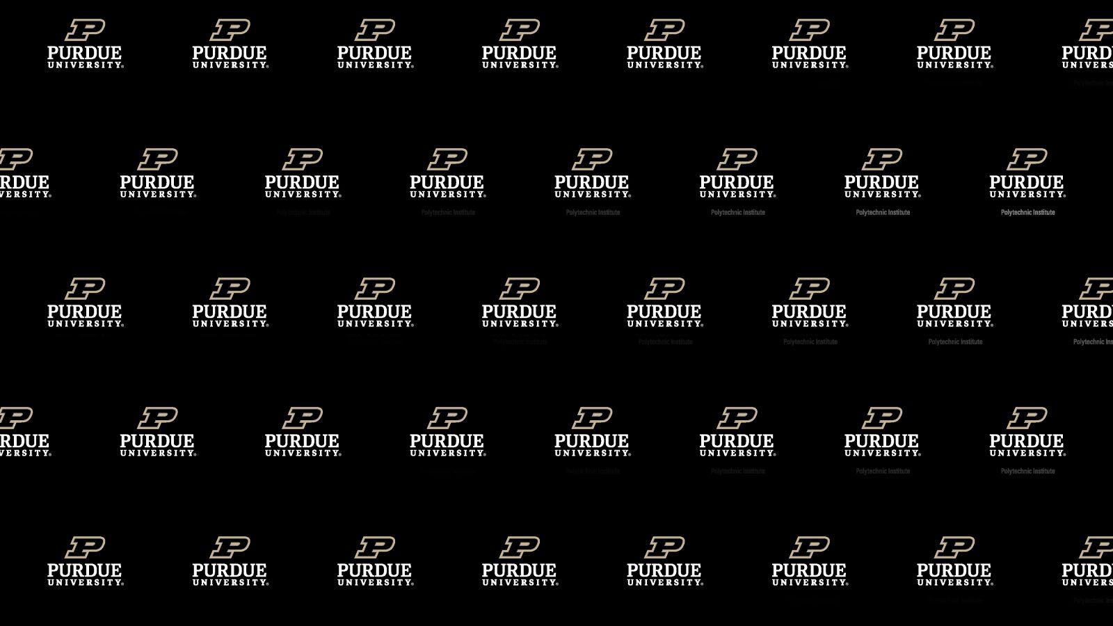 1600x900 Virtual Background