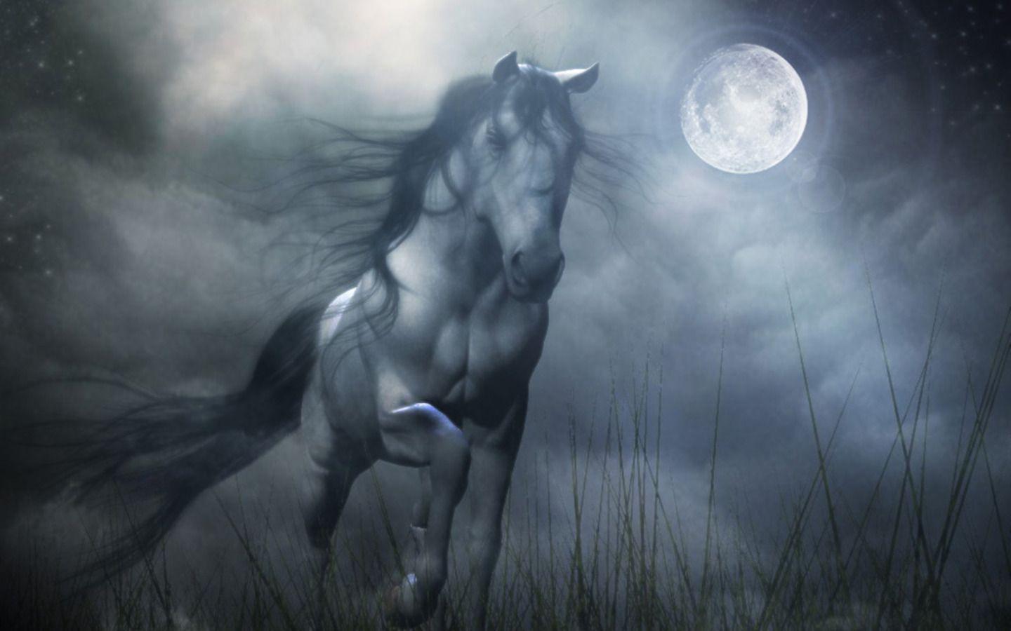 1440x900 Fantasy Horse Wallpaper