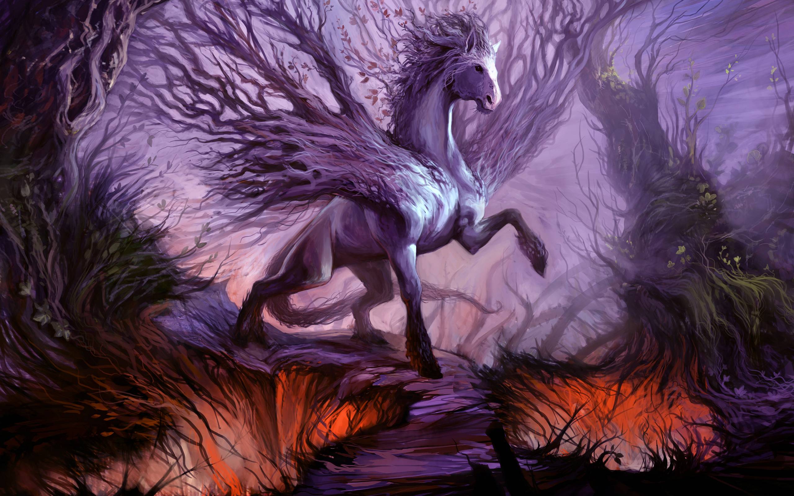 2560x1600 HD Anime Fantasy Wallpaper