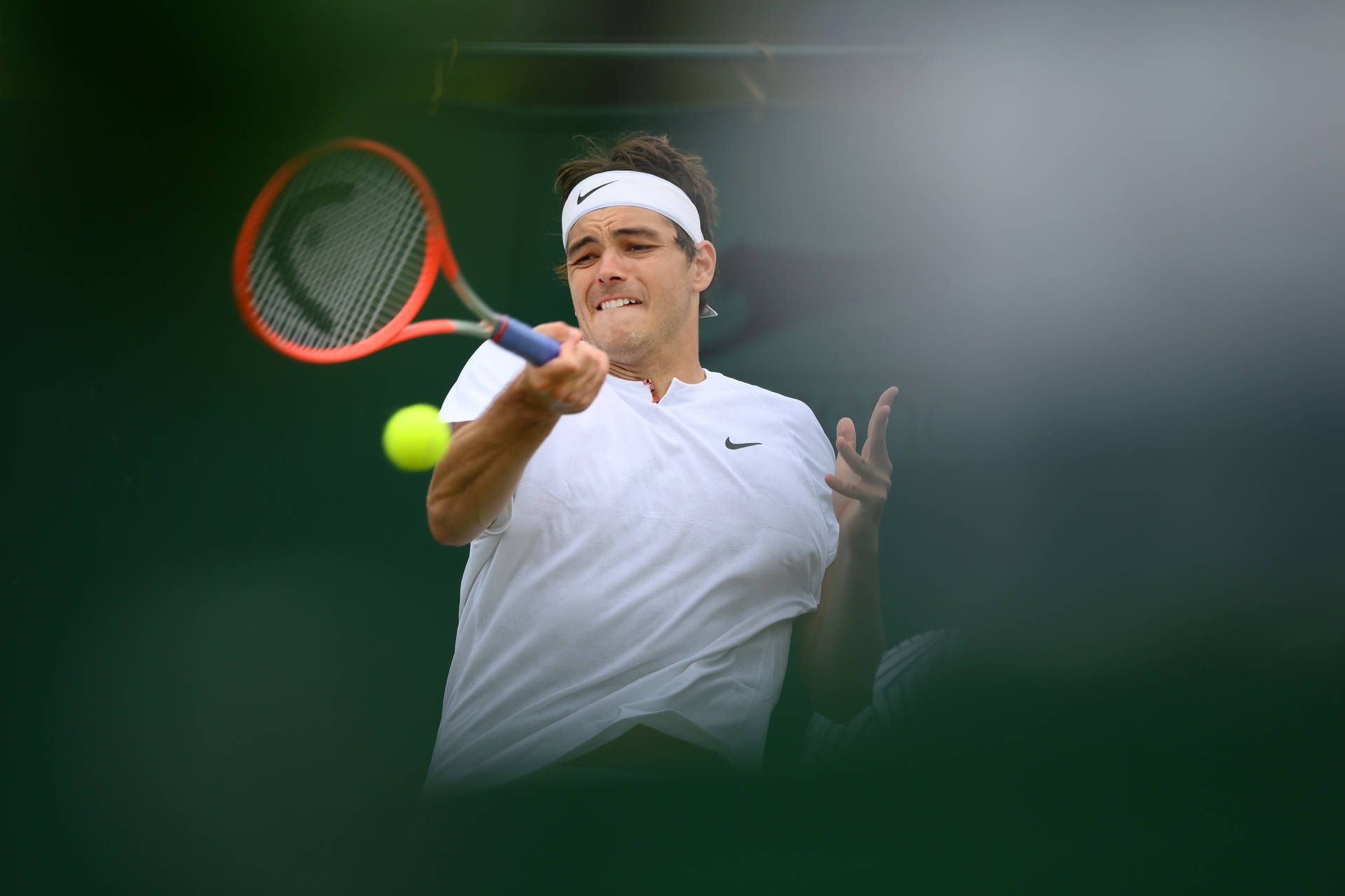 1920x1280 Taylor Fritz Wallpaper