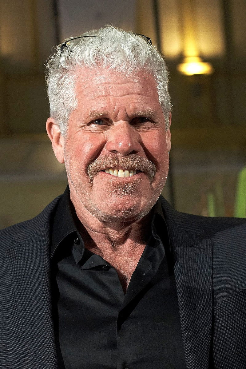 800x1200 Ron Perlman, american, actor, voice actor, tv, film, games, hellboy, sons of anarchy, HD phone wallpaper