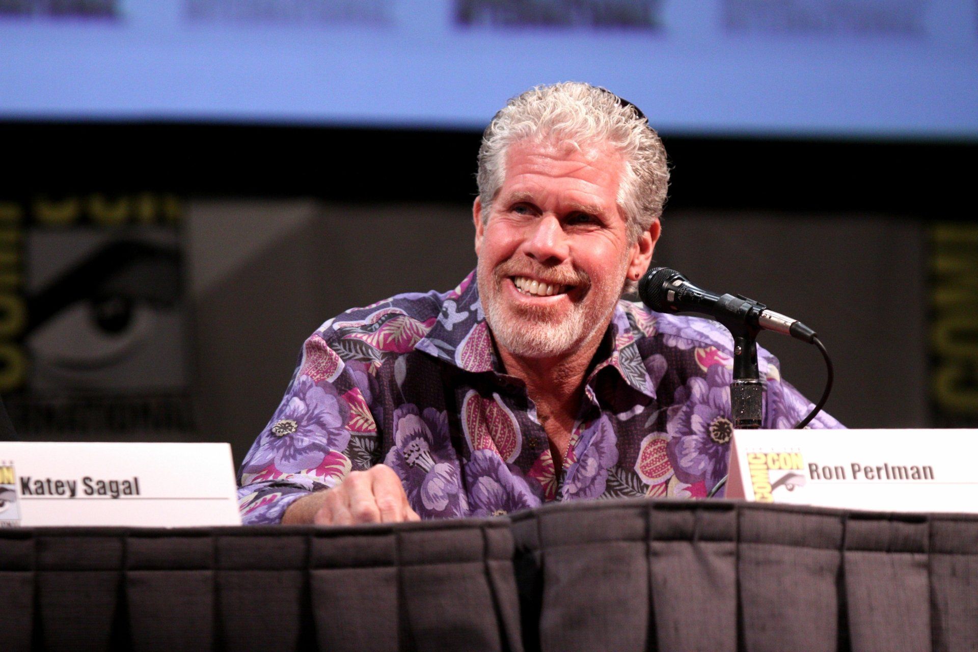 1920x1280 Download Celebrity Ron Perlman 4k Ultra HD Wallpaper