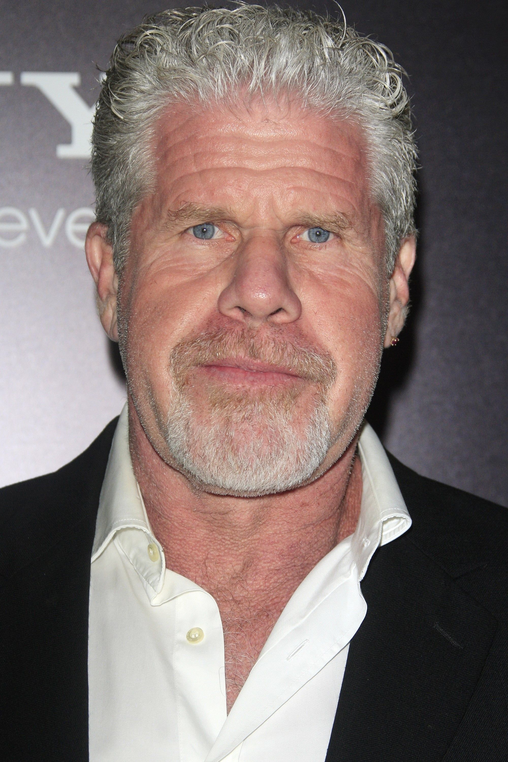 2000x3000 Ron Perlman Wallpaper