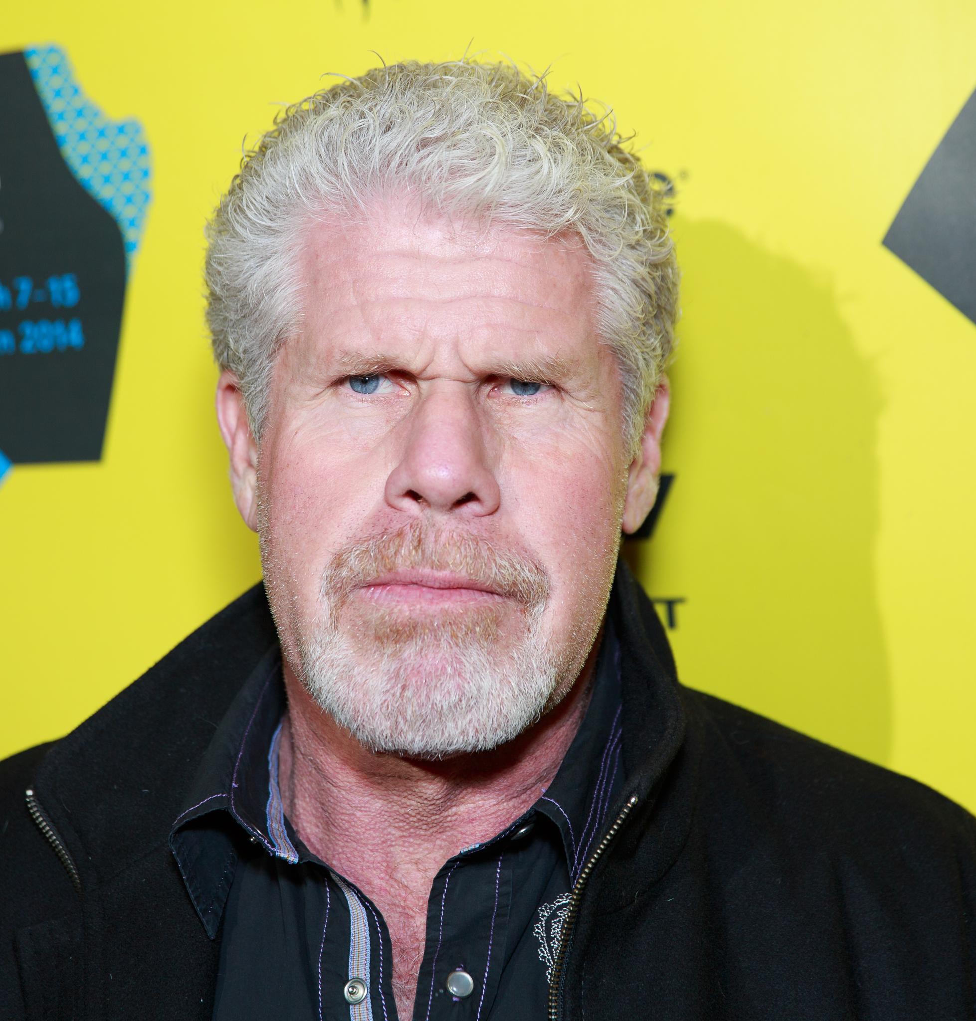 1957x2048 Picture of Ron Perlman, Picture Of Celebrities