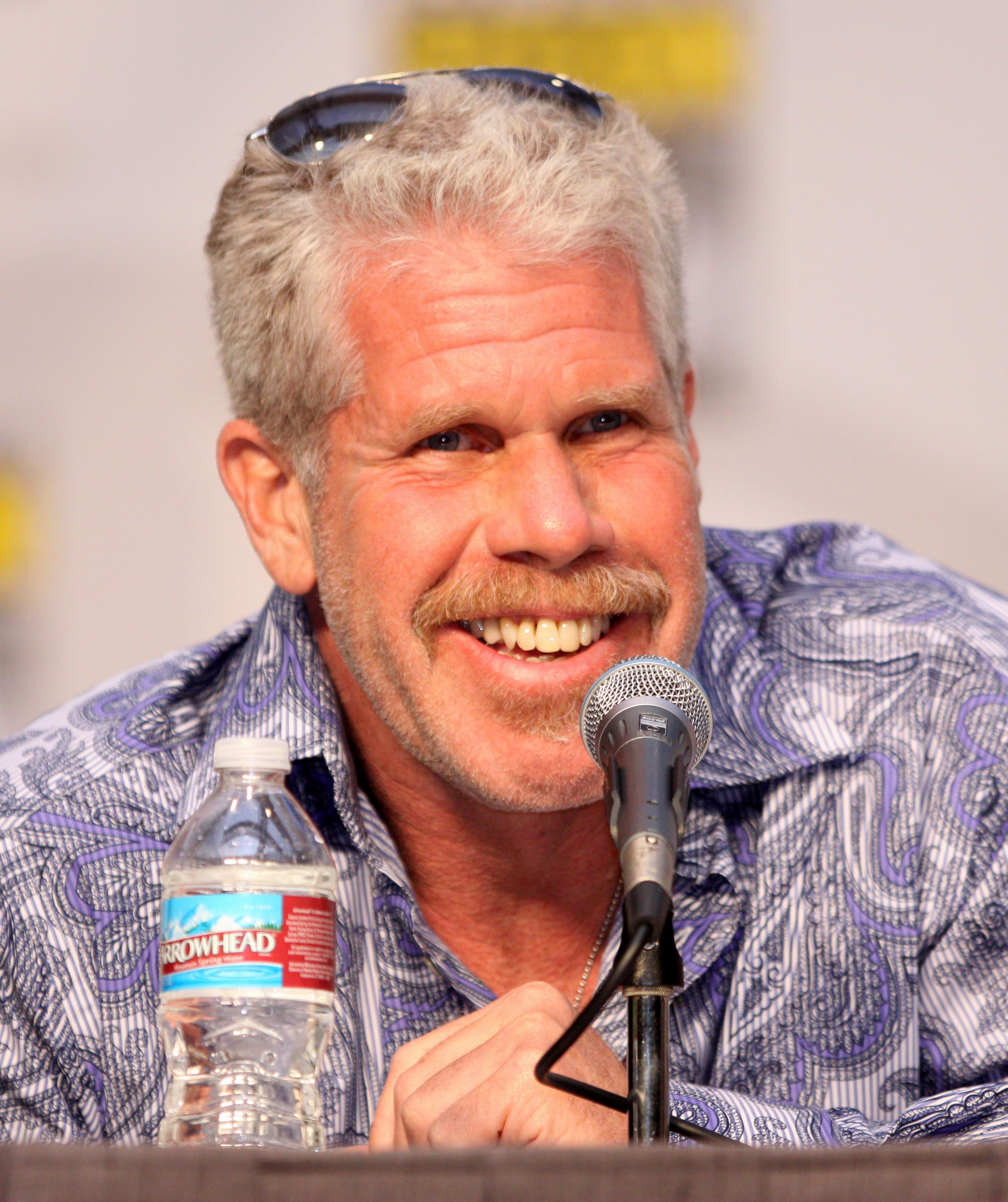 2456x2928 Picture of Ron Perlman Of Celebrities