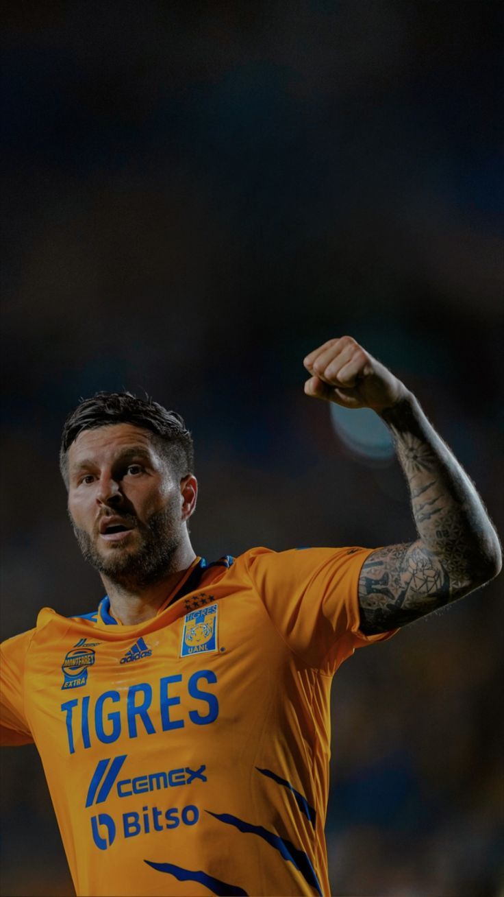 736x1308 Gignac wallpaper