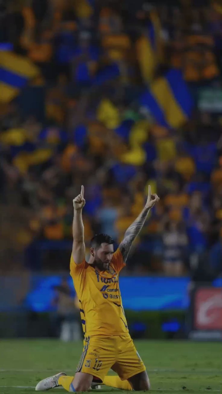 736x1308 Gignac wallpaper