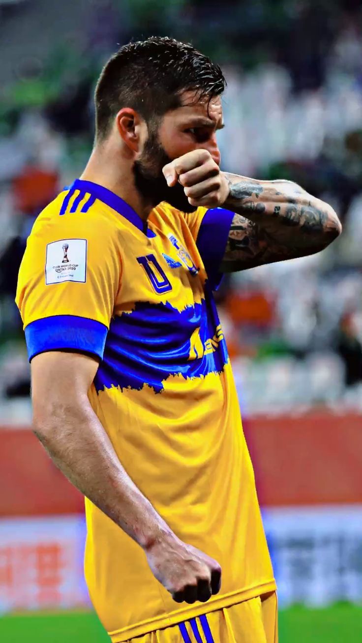 736x1308 Andre Pierre Gignac