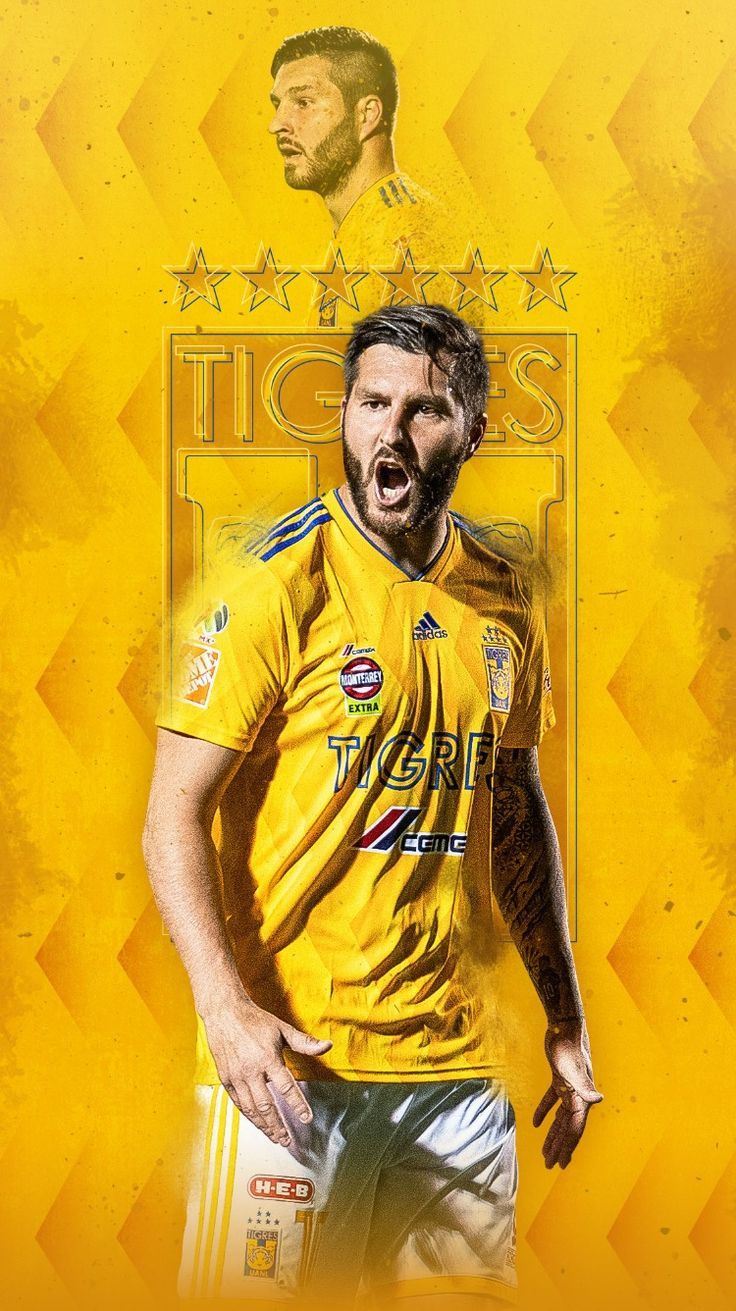 736x1311 André-Pierre Gignac