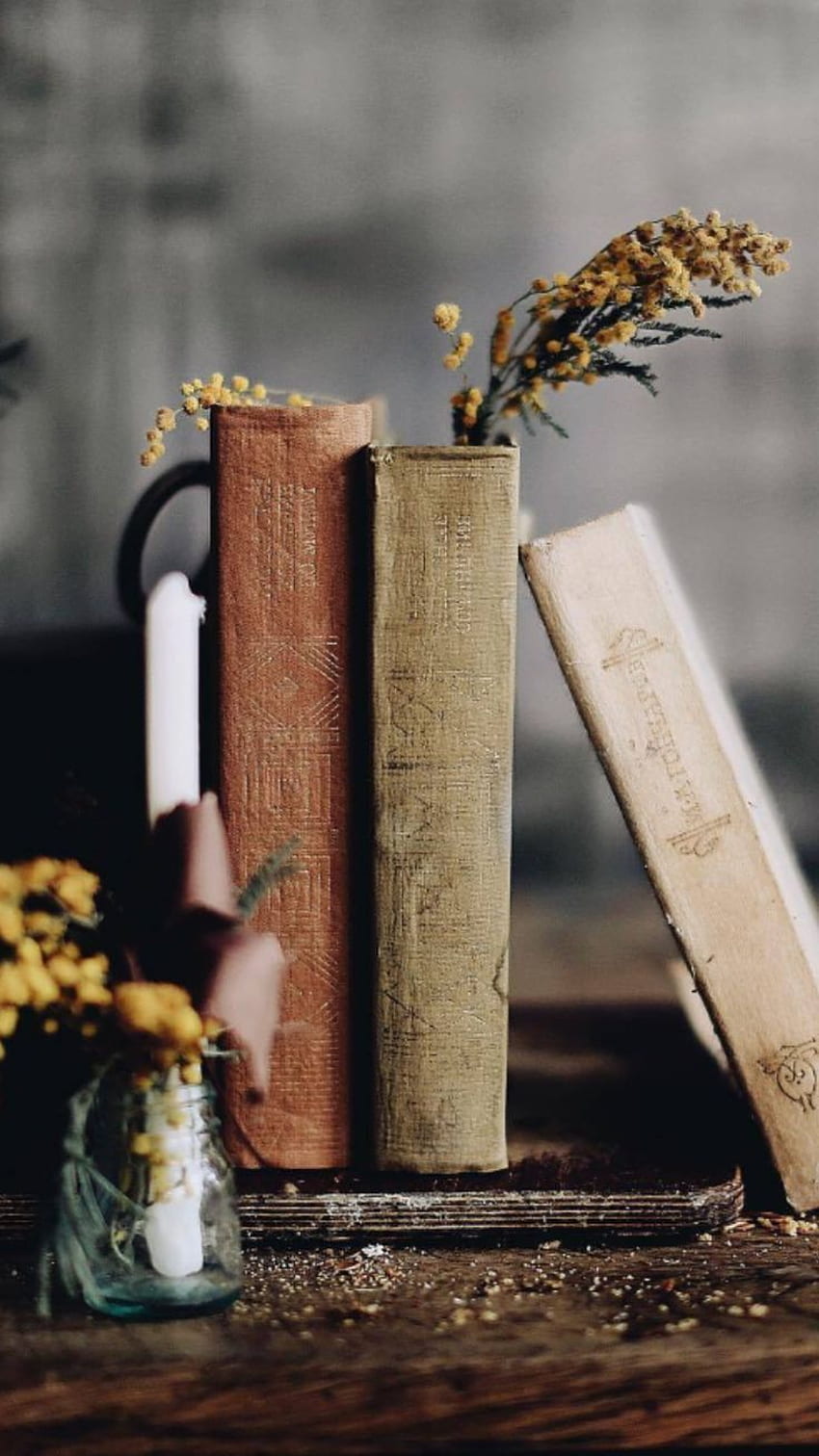850x1512 VintageBookaesthetic. Book, Coffee and books, Vintage books, Autumn Books HD phone wallpaper