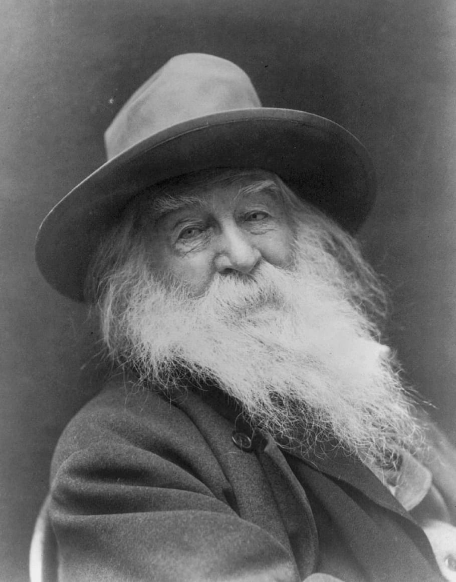 910x1163 Walt whitman 1080P, 2K, 4K, 5K HD wallpaper free download