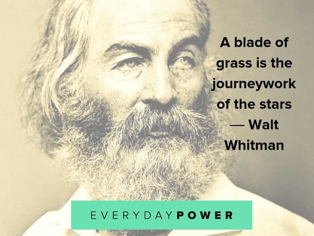 1024x768 Walt Whitman Quotes on Love and Life (2022)