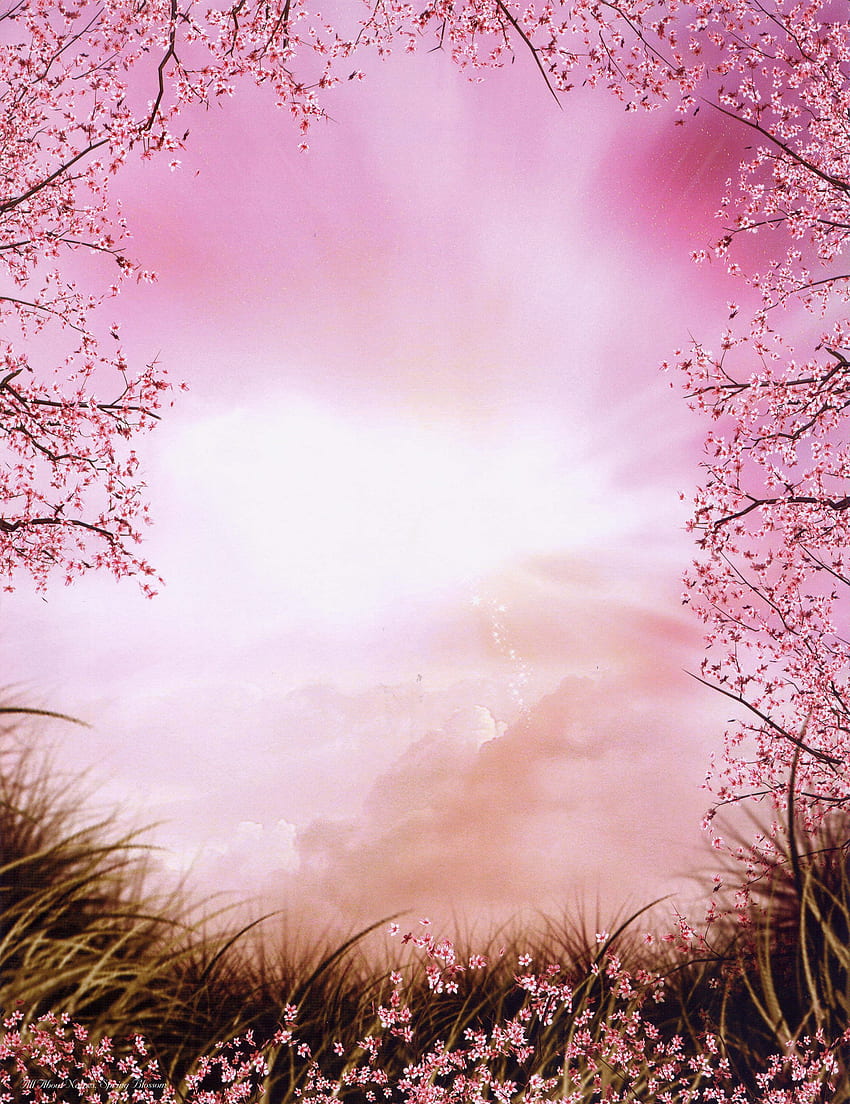 850x1104 Love Poems Background Background Pic. Stainless steel HD phone wallpaper