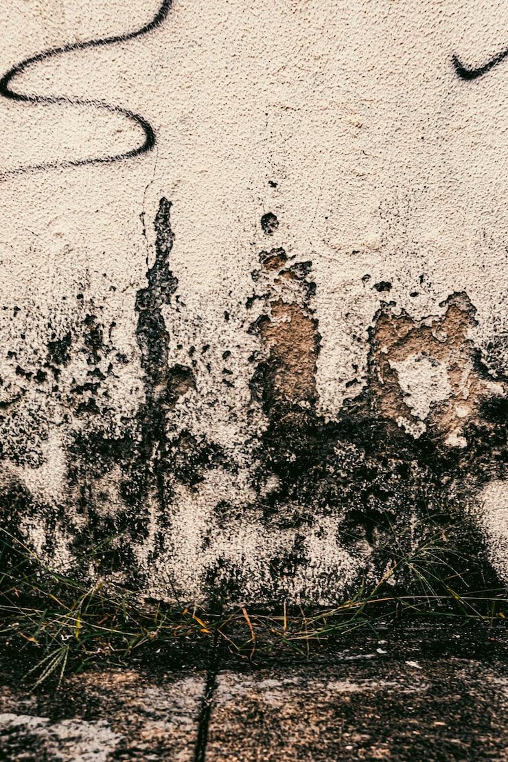 740x1109 Urban Decay Wallpaper Photo Free High Quality Picture
