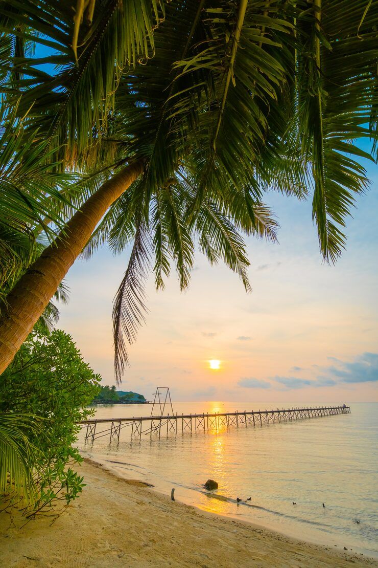 740x1110 Pictureque Goa Beaches Photo Free High Quality Picture