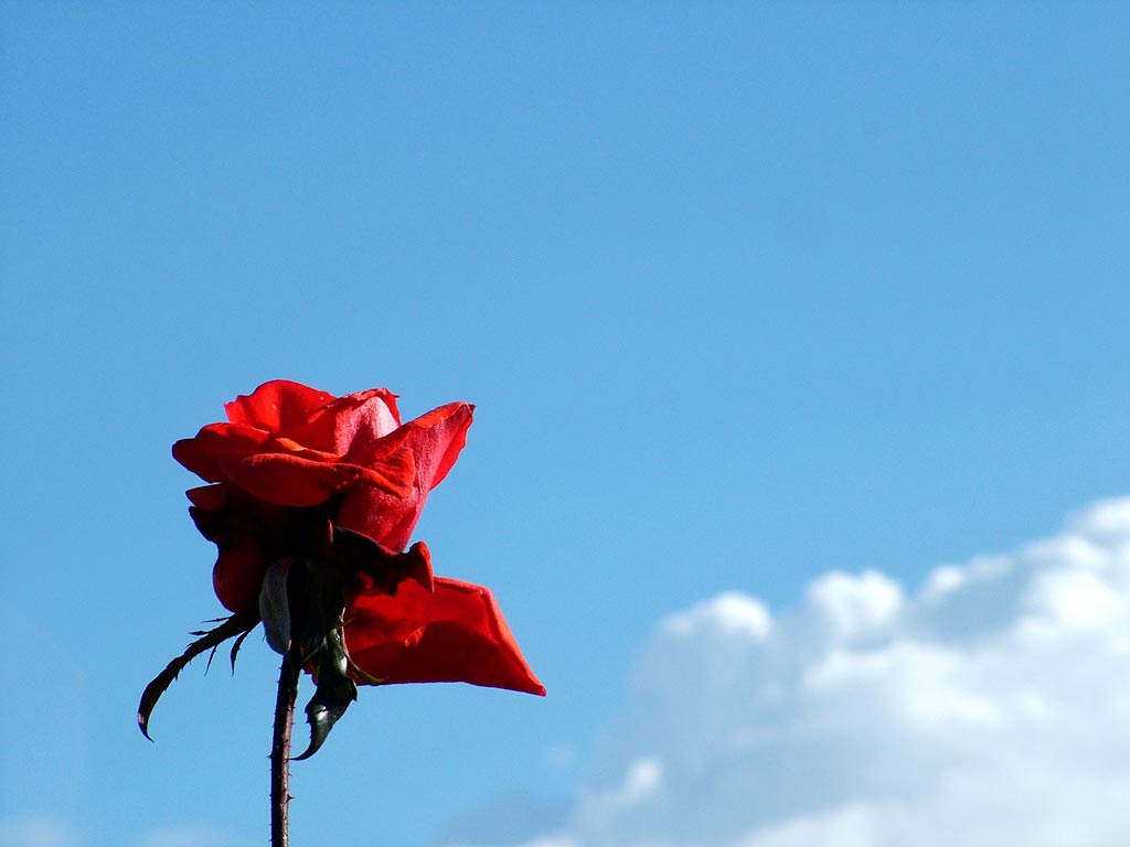 1024x768 Federico Garcia Lorca