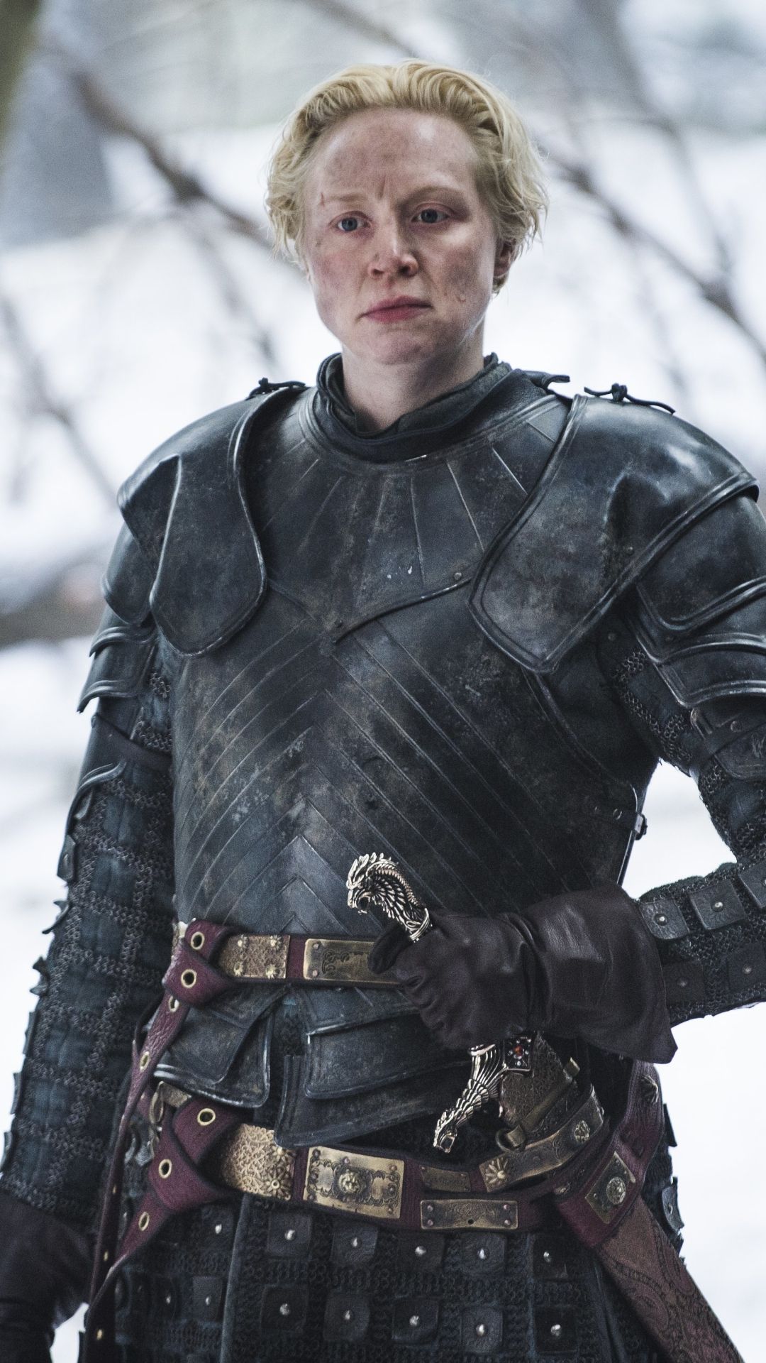 1080x1920 Phone wallpaper: Brienne Of Tarth, Game Of Thrones, Tv Show, Gwendoline Christie 1282525