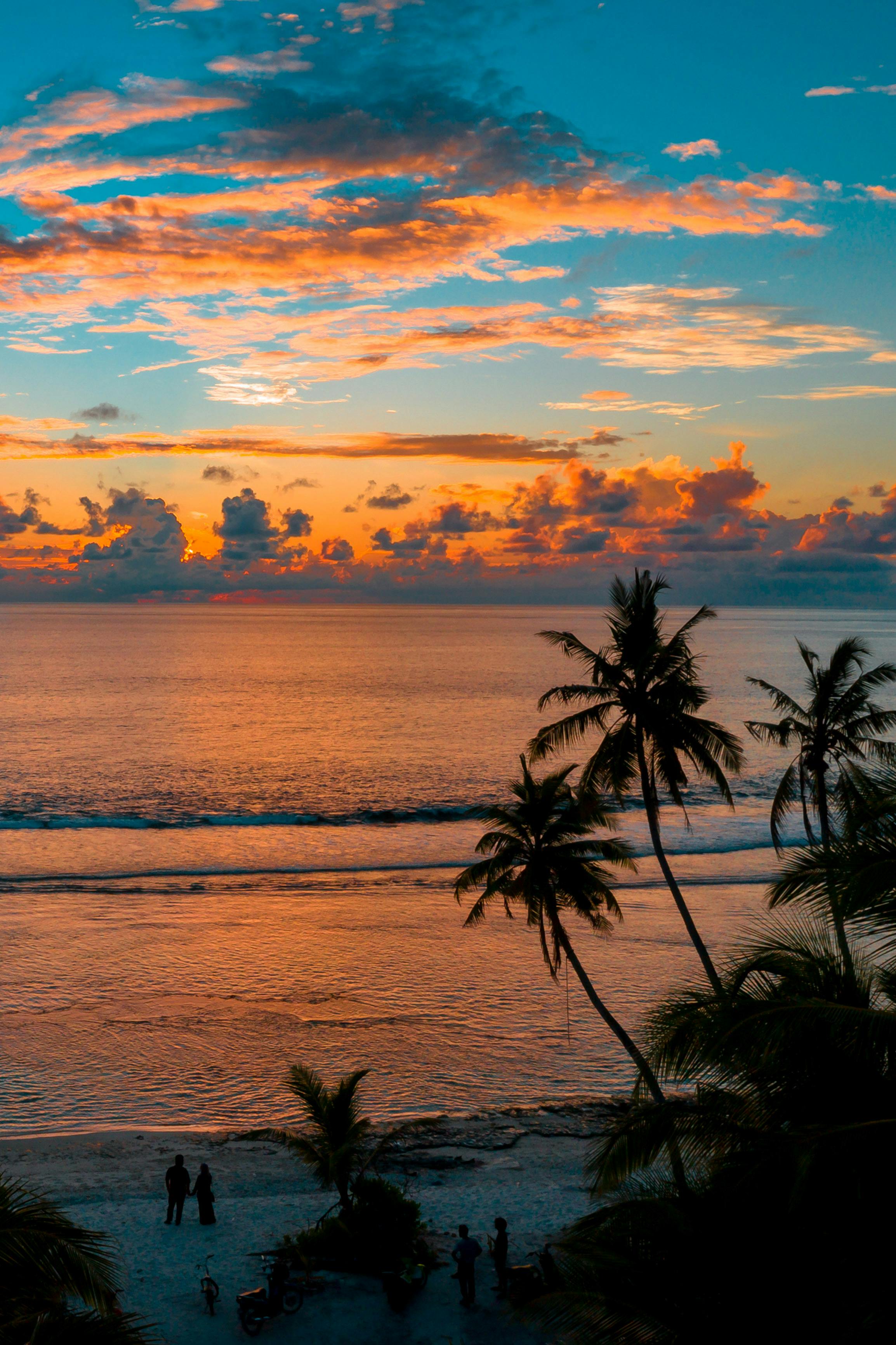 2308x3465 Beach Under Golden Hour · Free