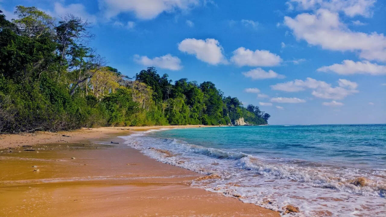 1280x720 This remote Indian beach just made it to Asia's—and it's not where you think!. Times of India