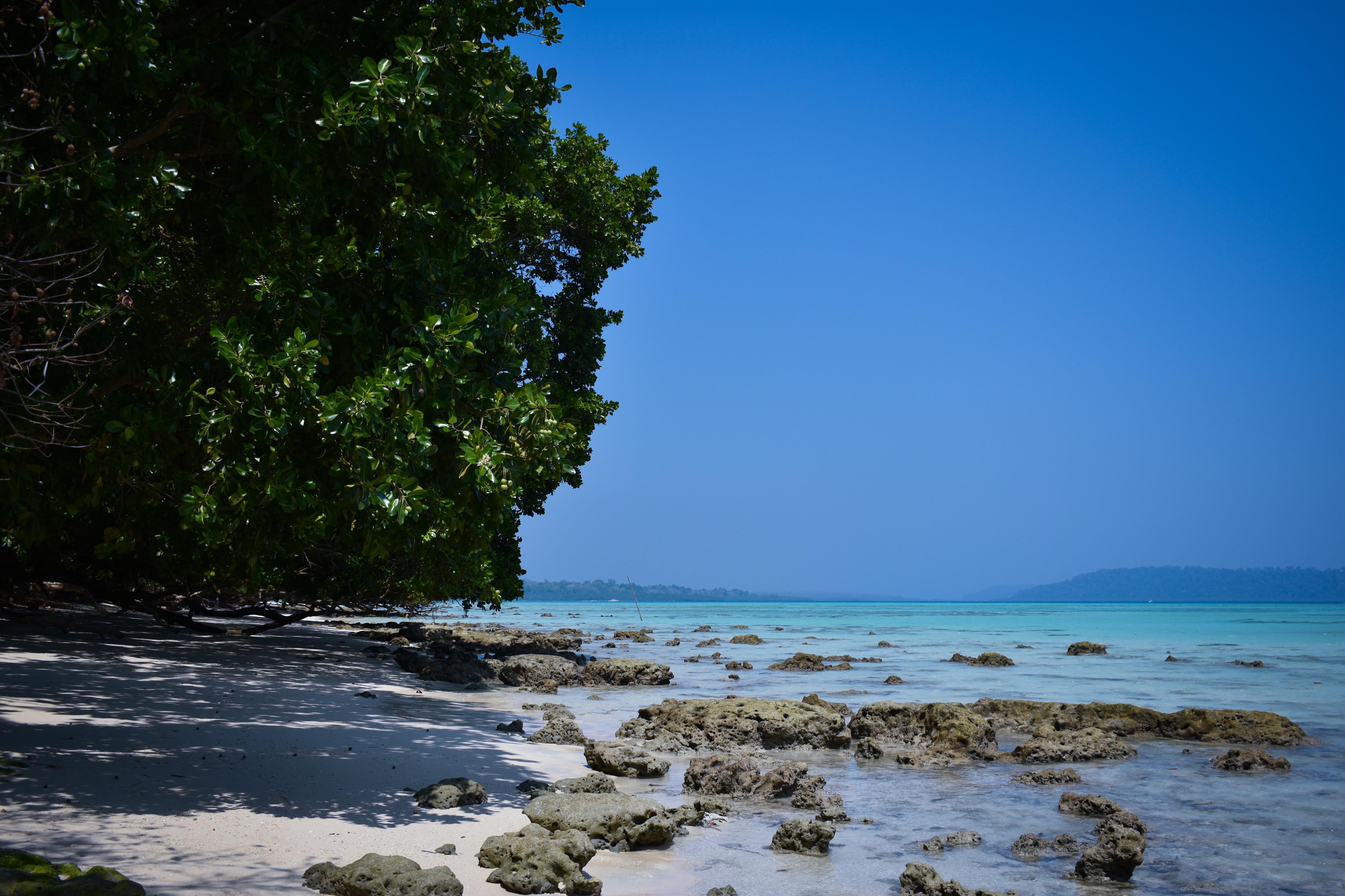 6000x4000 This is a beach in India. It is one of my fav clicks and currently desktop wallpaper