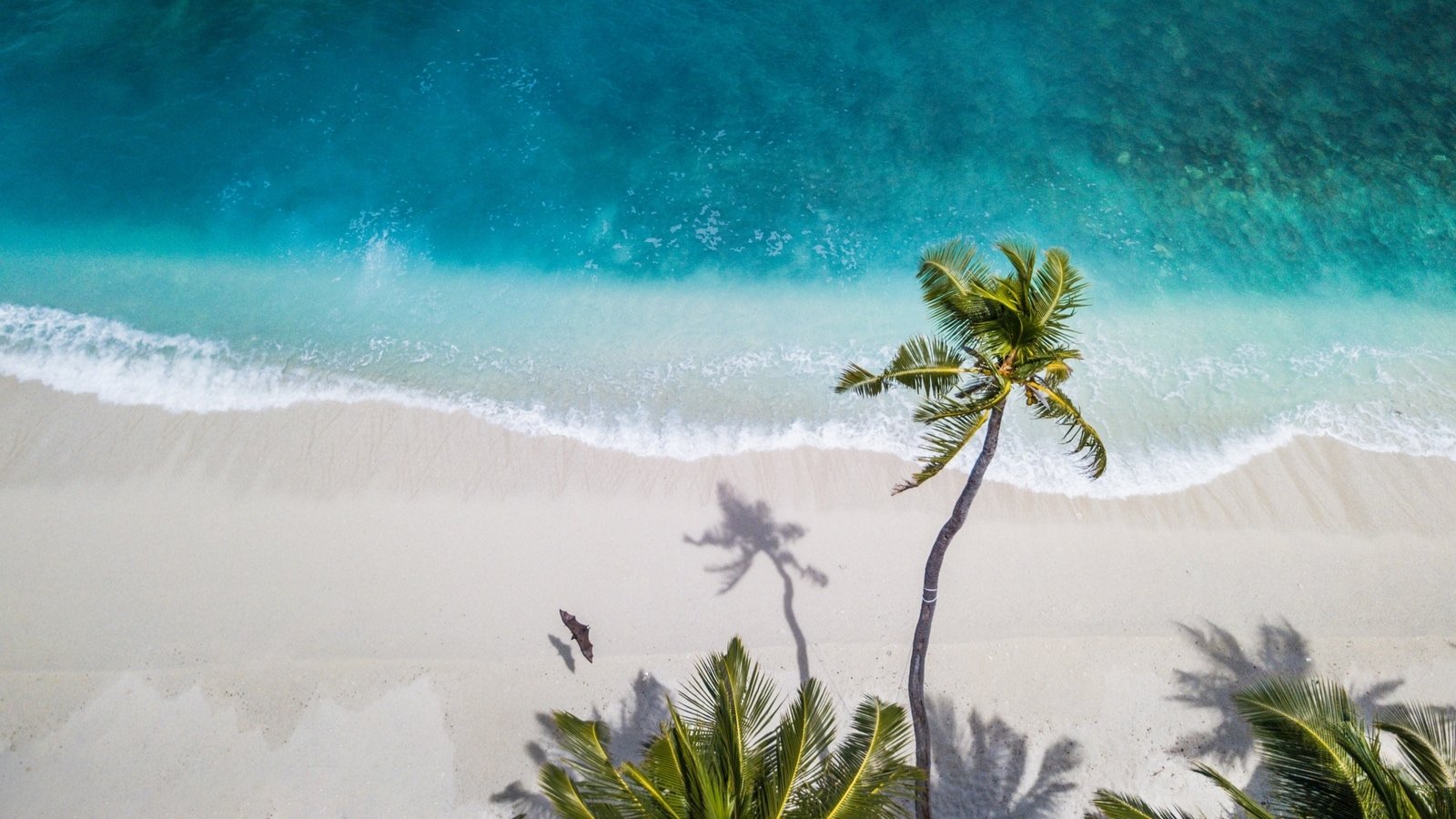 1600x900 Gorgeous white sand beaches in India you must visit