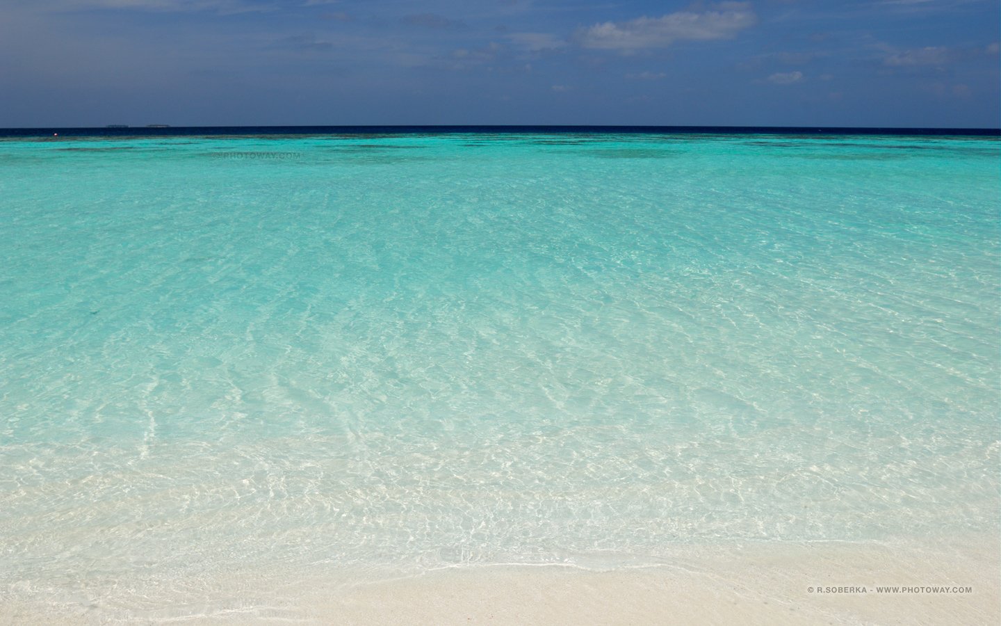 1440x900 Maldives beach shore wallpaper in Indian Ocean