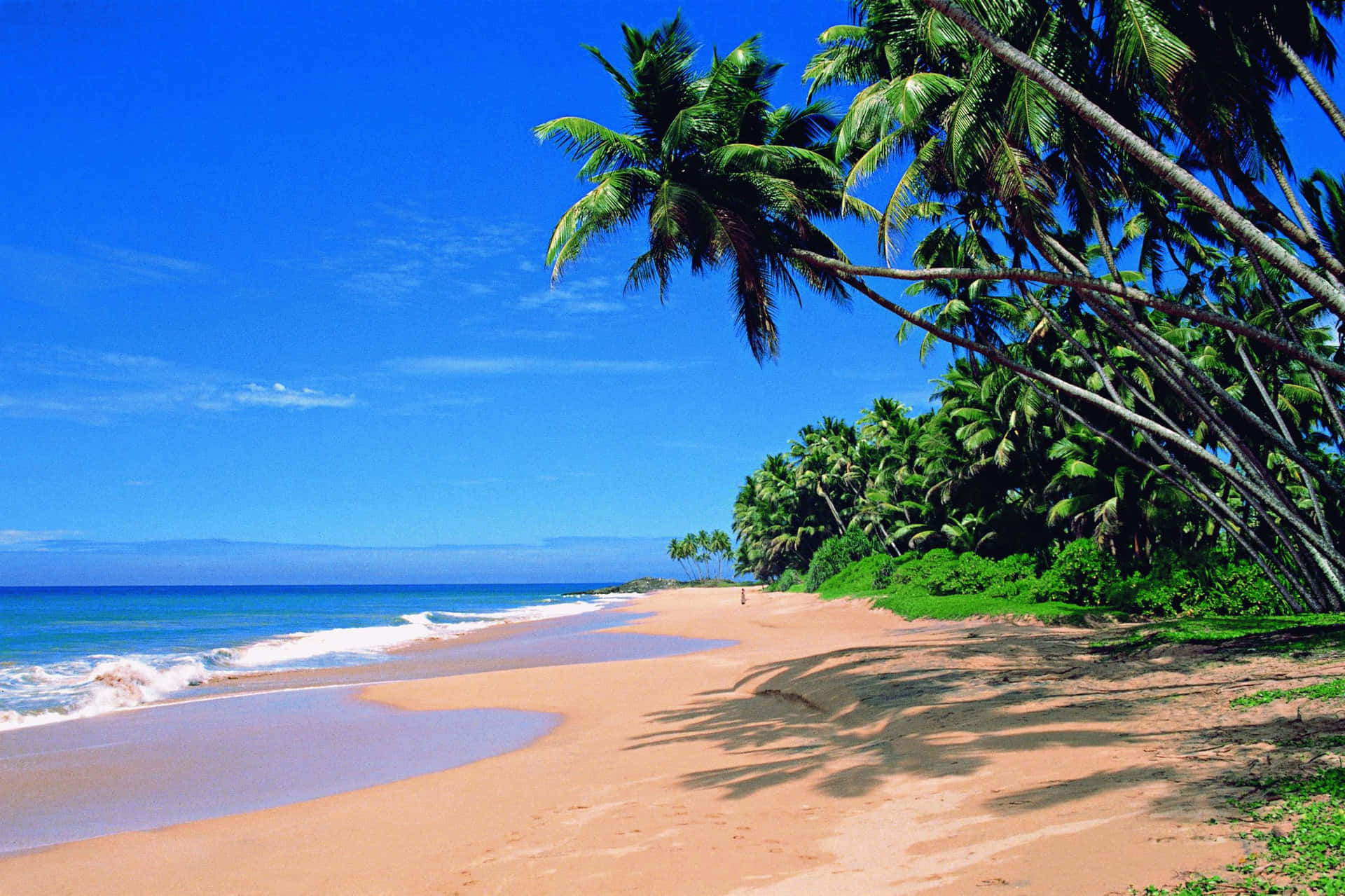 1920x1279 Download A beautiful view of the beach in Goa, India