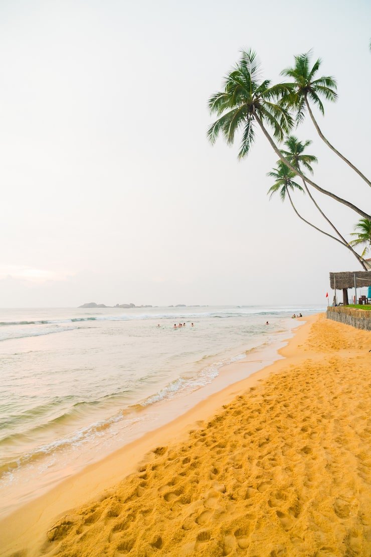 740x1110 Goa beaches Image