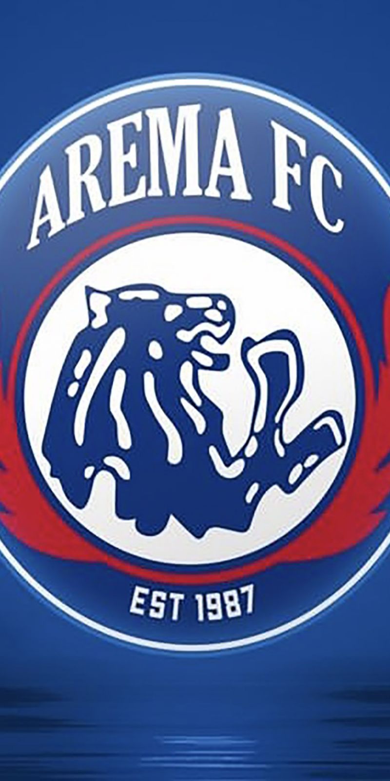 800x1600 Bus milik Arema FC dirusak oleh sekelompok orang News Jawa Timur