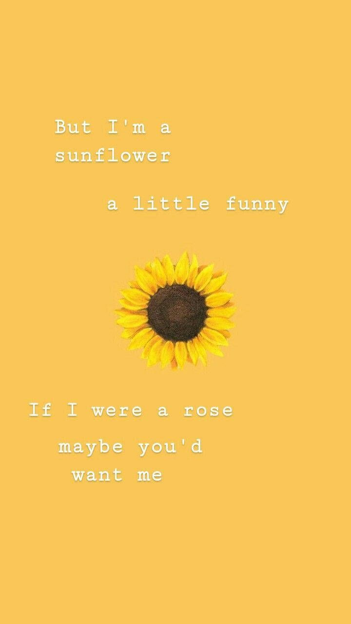 720x1280 Download Funny Sunflower Cute Quotes Wallpaper