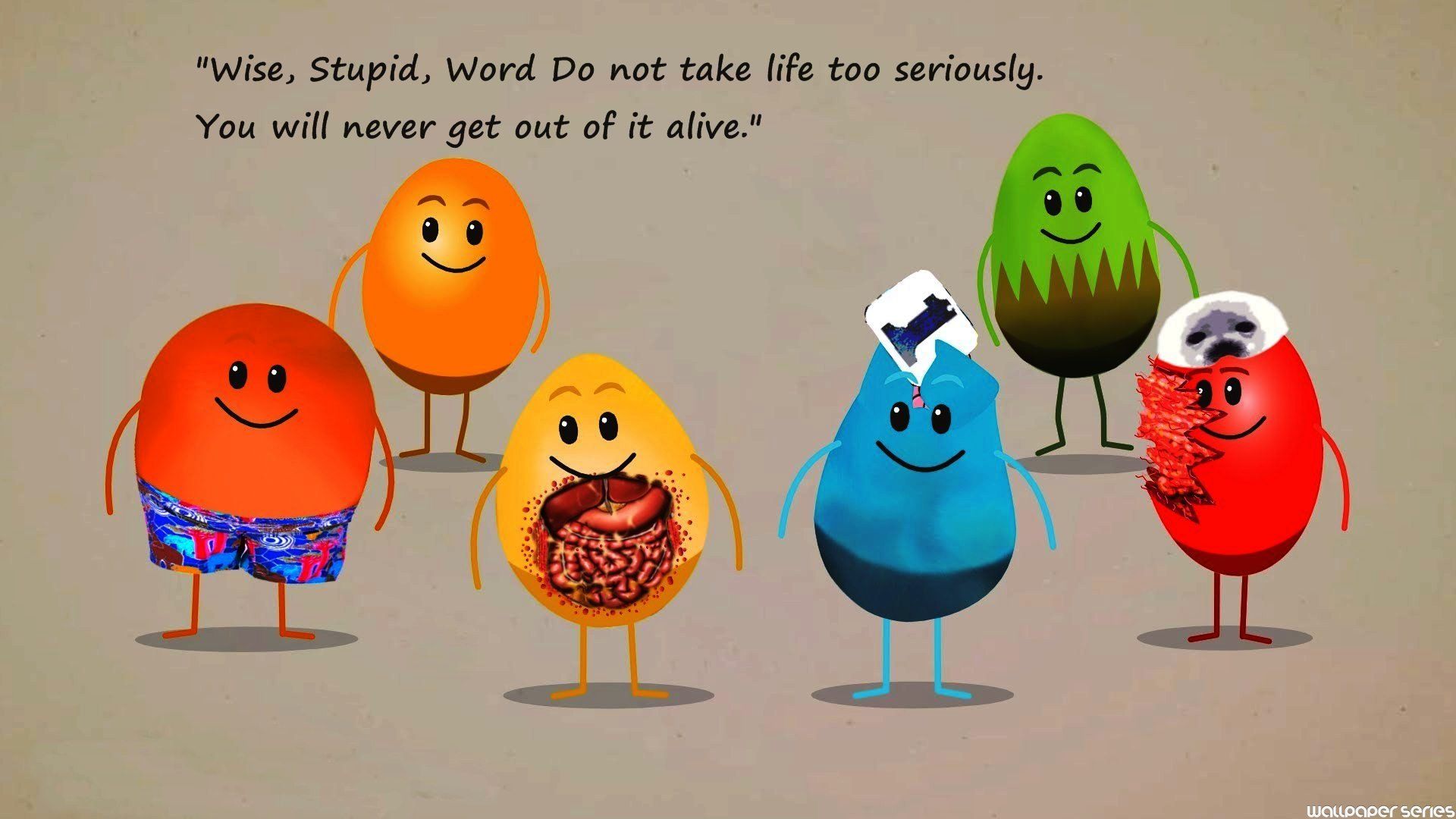 1920x1080 Wise Stupid Word Do Not Take Funny Quotes Wallpaper 05871