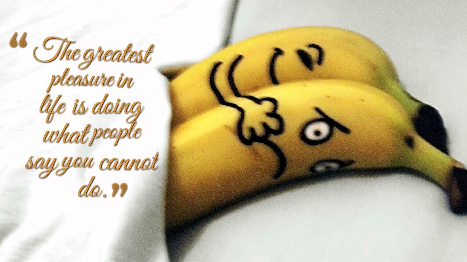 1920x1080 Famous Funny Quotes Wallpaper 10596