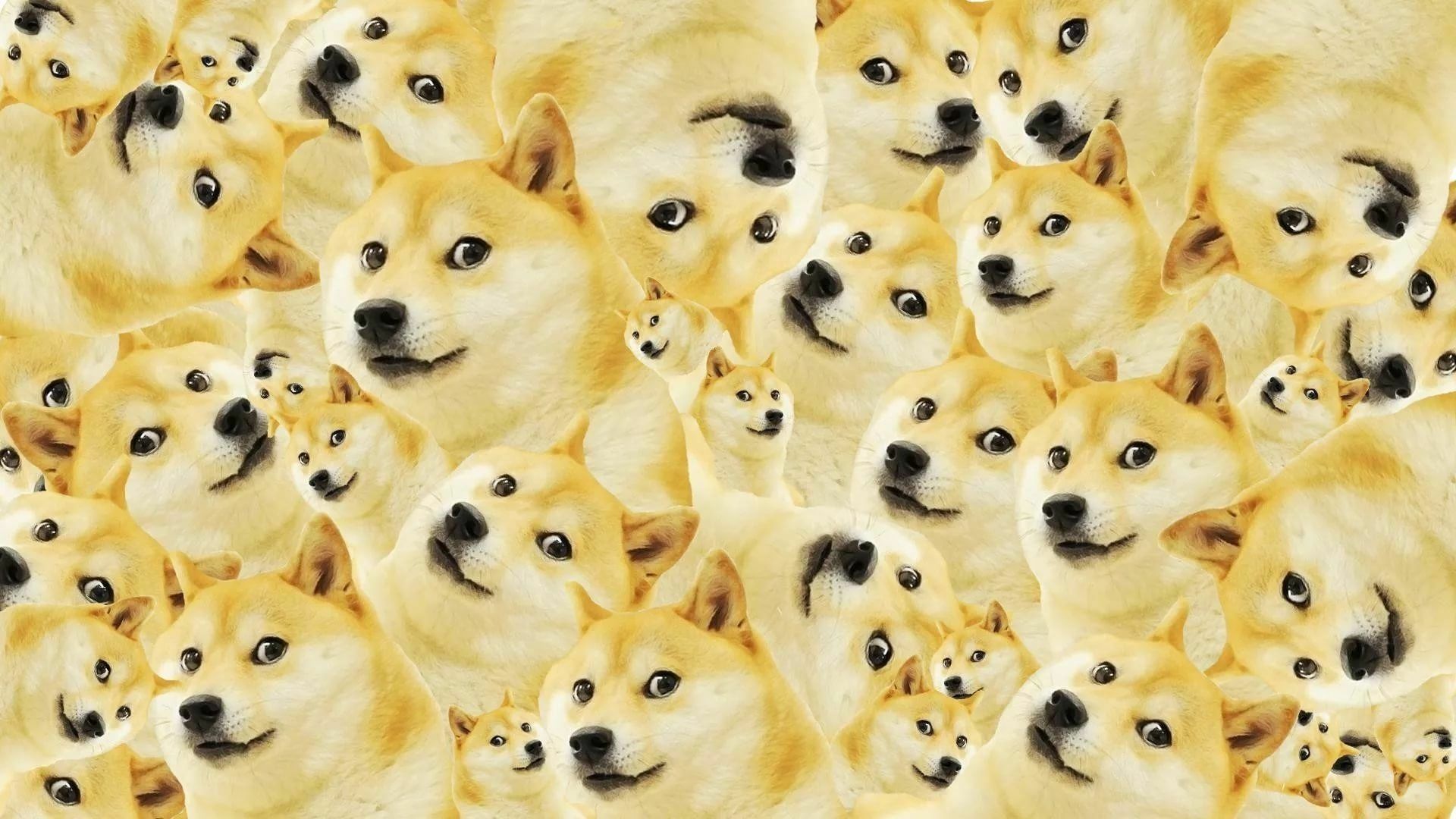 1920x1080 Doge Collage HD Desktop Wallpaper