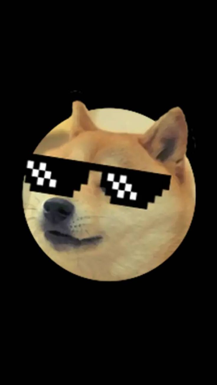 736x1308 Memes Dog Wallpaper Free Download for Mobile