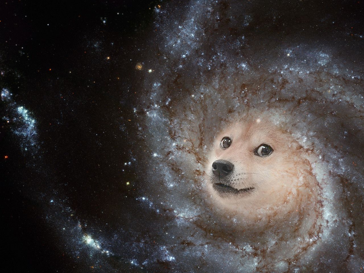 1280x960 Galaxy Doge Wallpaper