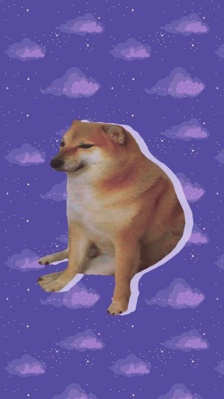 720x1278 Fondos. Funny phone wallpaper, Cute wallpaper, Kawaii wallpaper