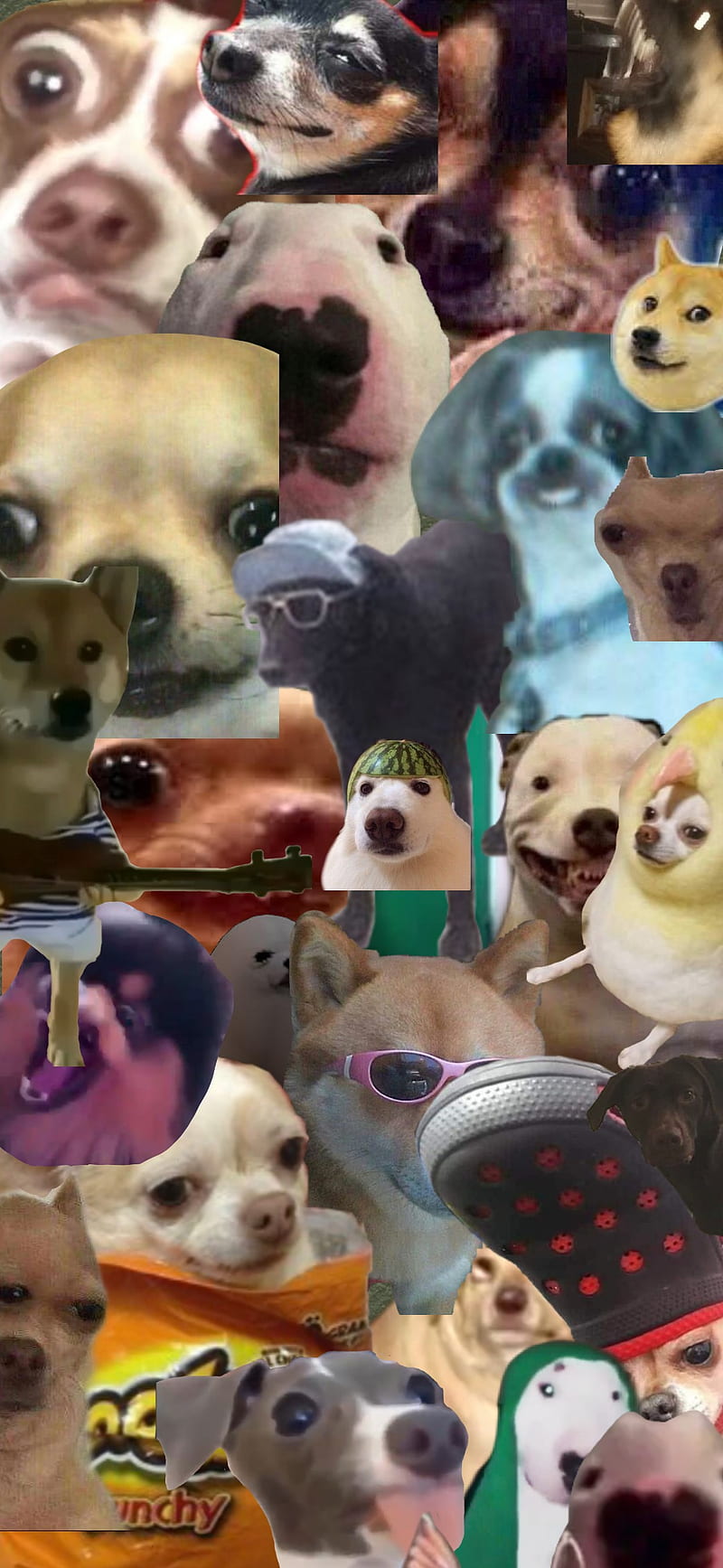 800x1735 HD dog meme wallpaper