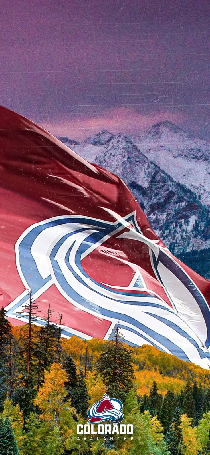 736x1593 Colorado Avalanche Wallpaper