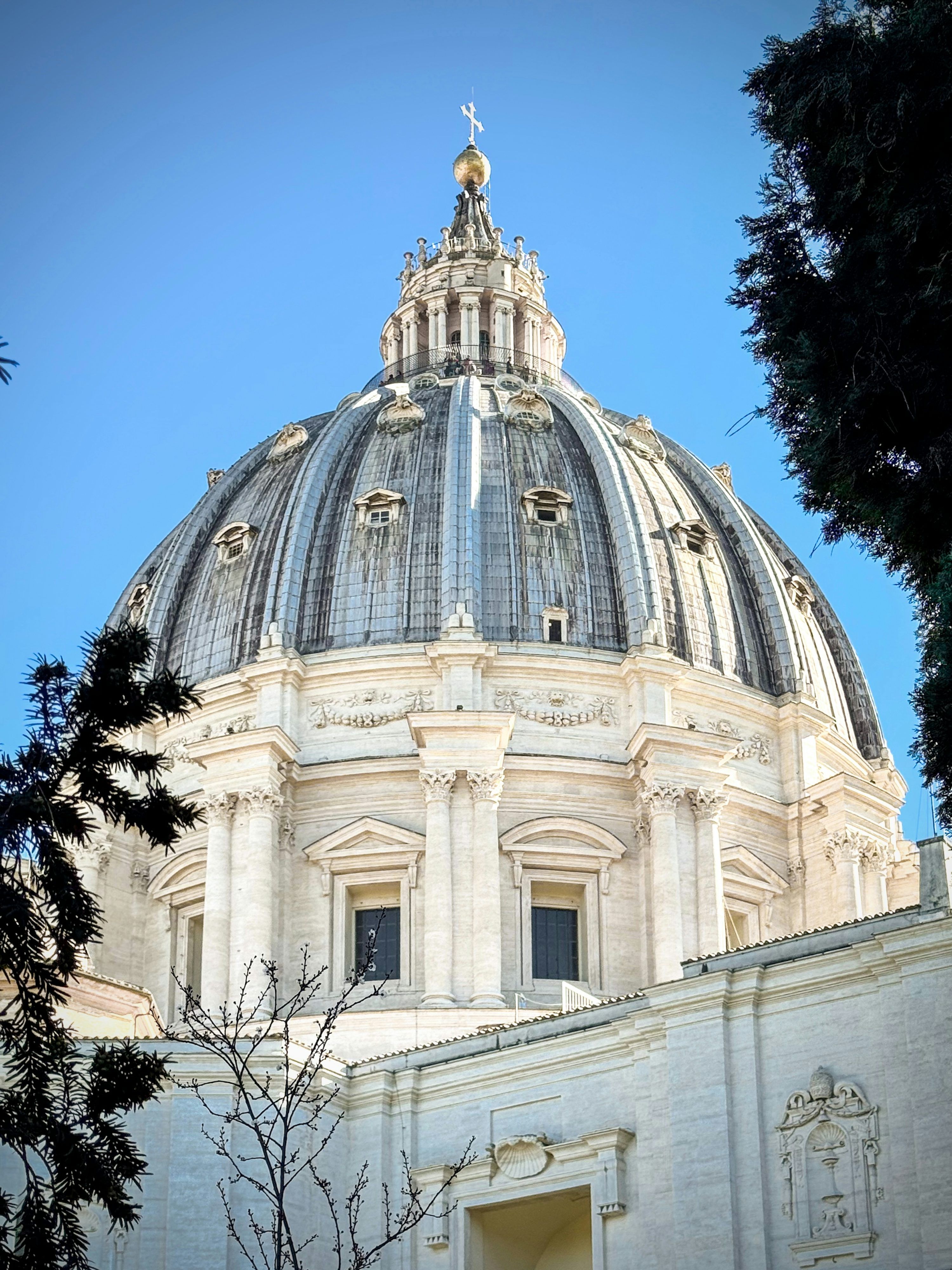 3000x4000 The dome of st. peter's basilica stands tall. photo