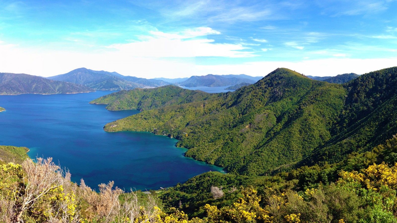 1600x900 Queen Charlotte Track Marlborough Sounds New Zealand Wallpaper