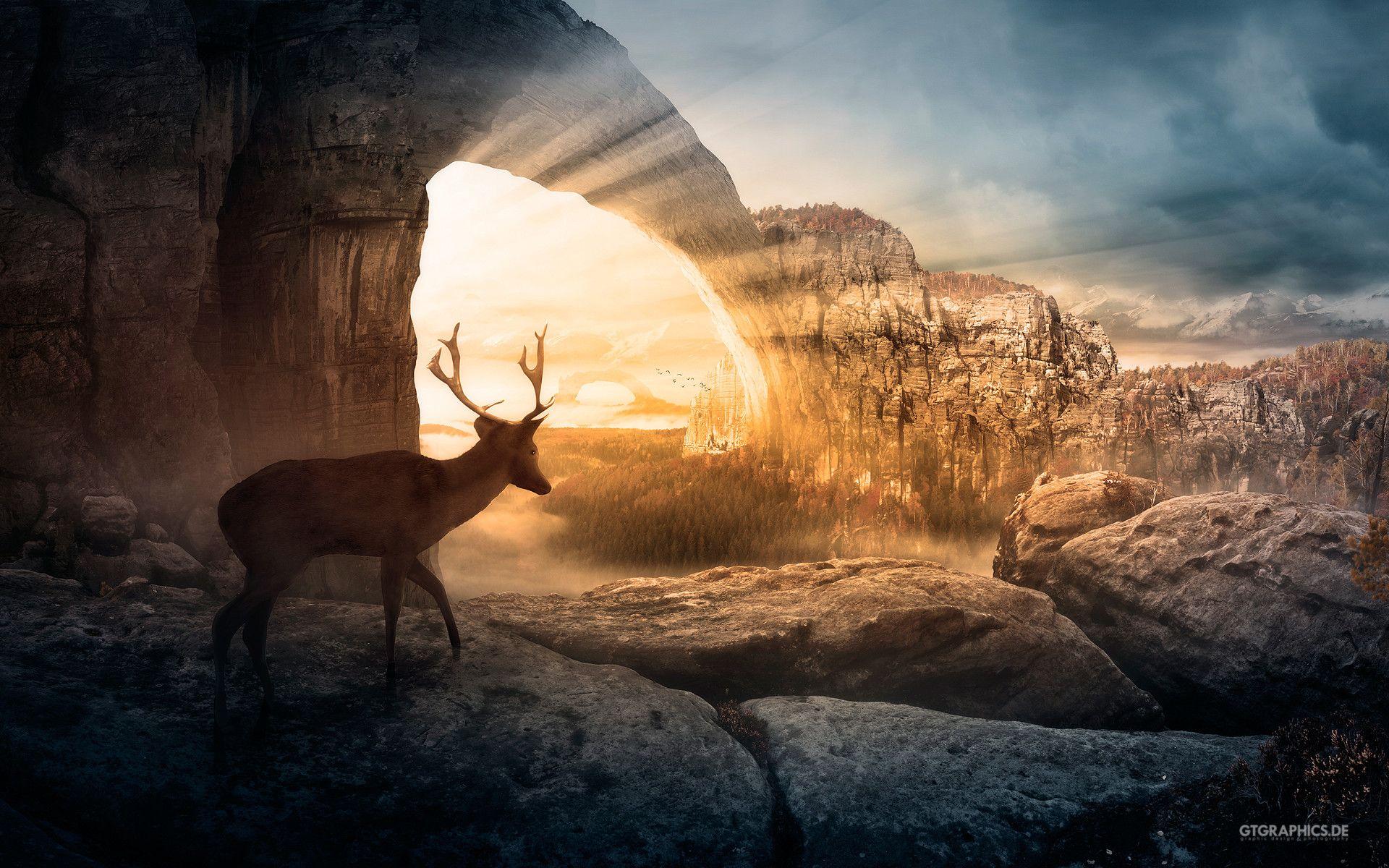 1920x1200 Sunlight Wallpaper