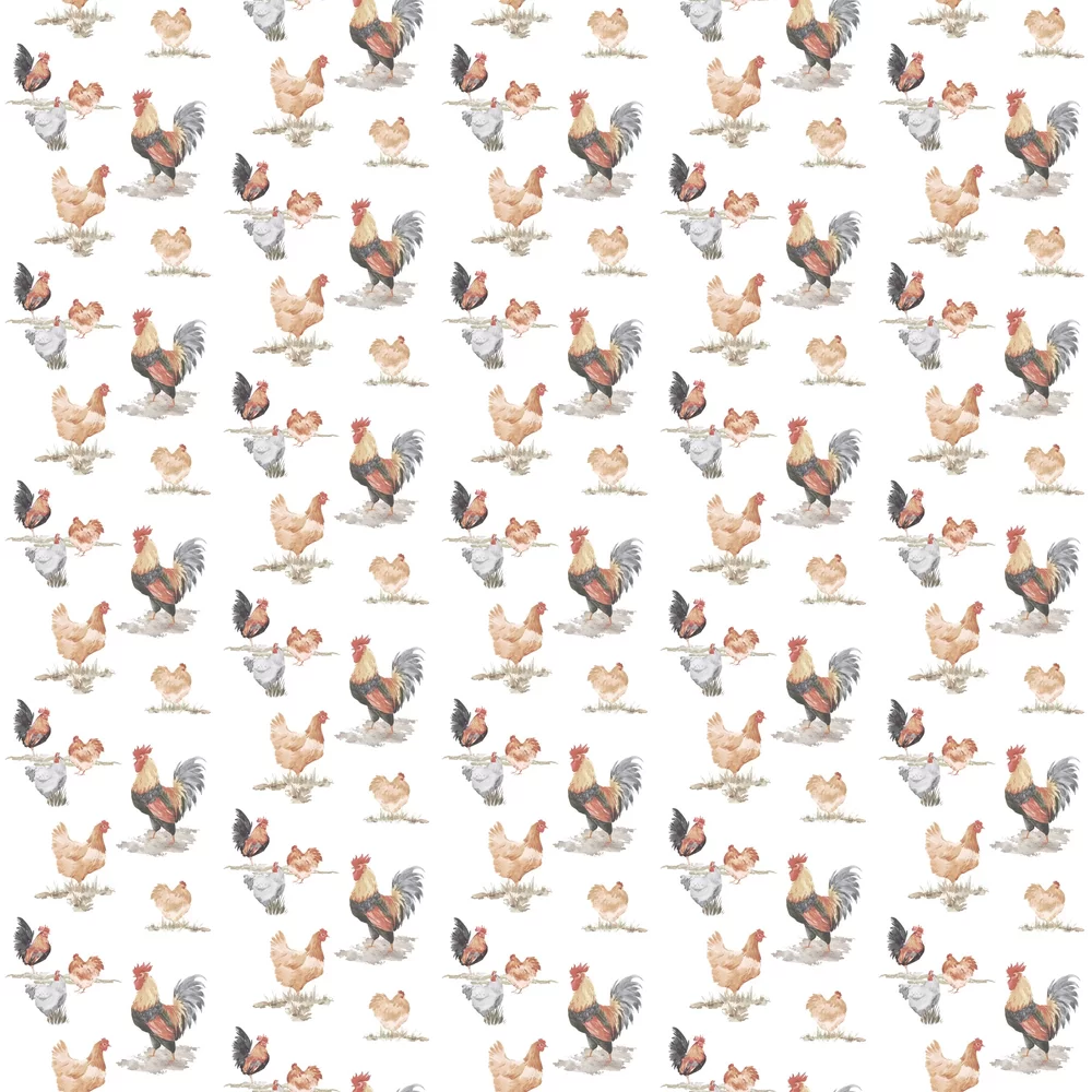1000x1000 Chickens by Galerie / Multi : Wallpaper Direct