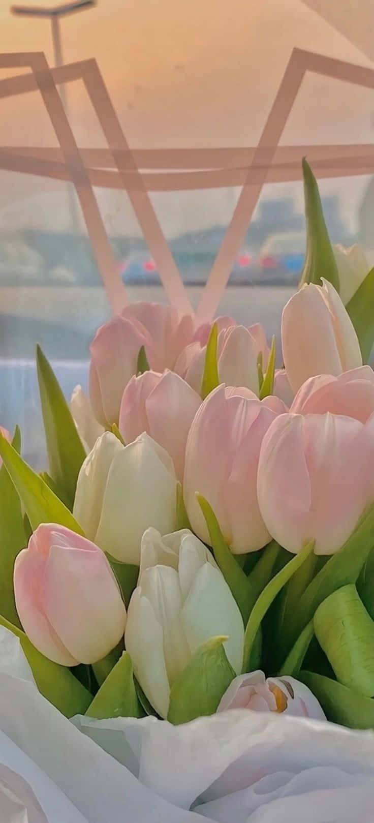 736x1619 Tulips Aesthetic Wallpaper