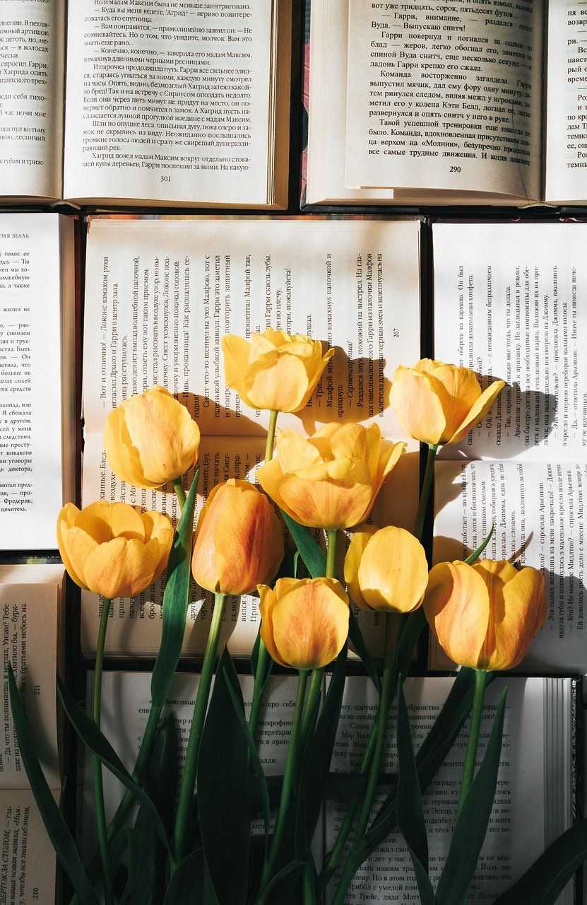 831x1280 Free Tulip Aesthetic & Nature Image